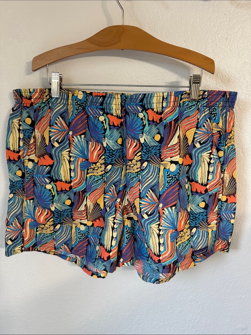 Patagonia Baggies Shorts